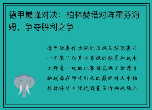 德甲巅峰对决：柏林赫塔对阵霍芬海姆，争夺胜利之争