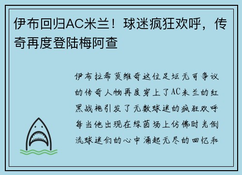 伊布回归AC米兰！球迷疯狂欢呼，传奇再度登陆梅阿查