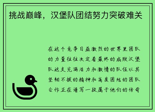 挑战巅峰，汉堡队团结努力突破难关