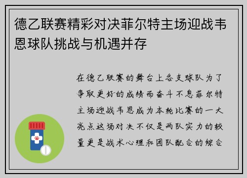 德乙联赛精彩对决菲尔特主场迎战韦恩球队挑战与机遇并存