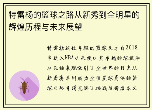特雷杨的篮球之路从新秀到全明星的辉煌历程与未来展望